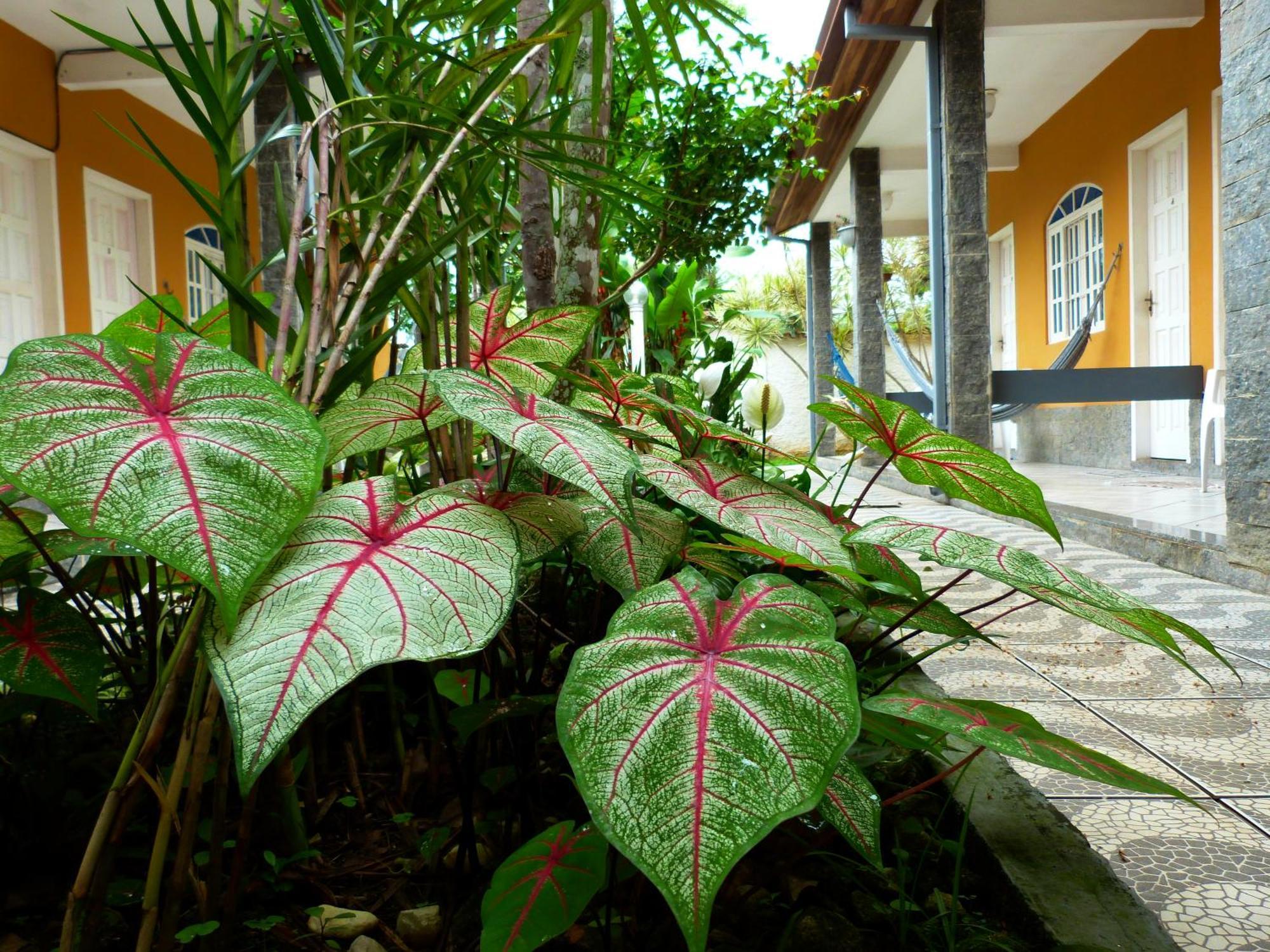 Villa Do Sonho Pousada Hotel Araquari Exterior photo